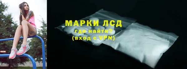 молекула духа Богородицк