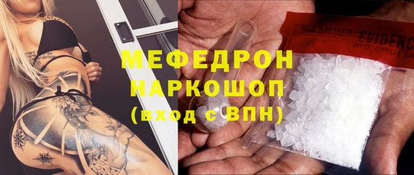 молекула духа Богородицк