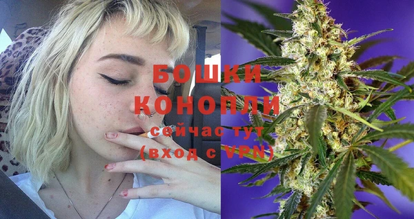 бошки Белокуриха