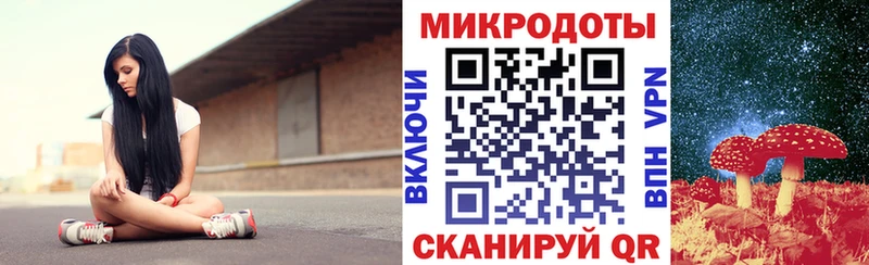 наркошоп  Малая Вишера  Галлюциногенные грибы Psilocybe 